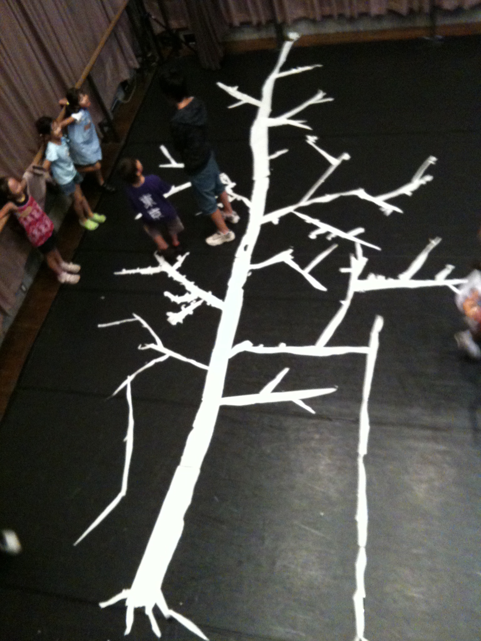 whitetree